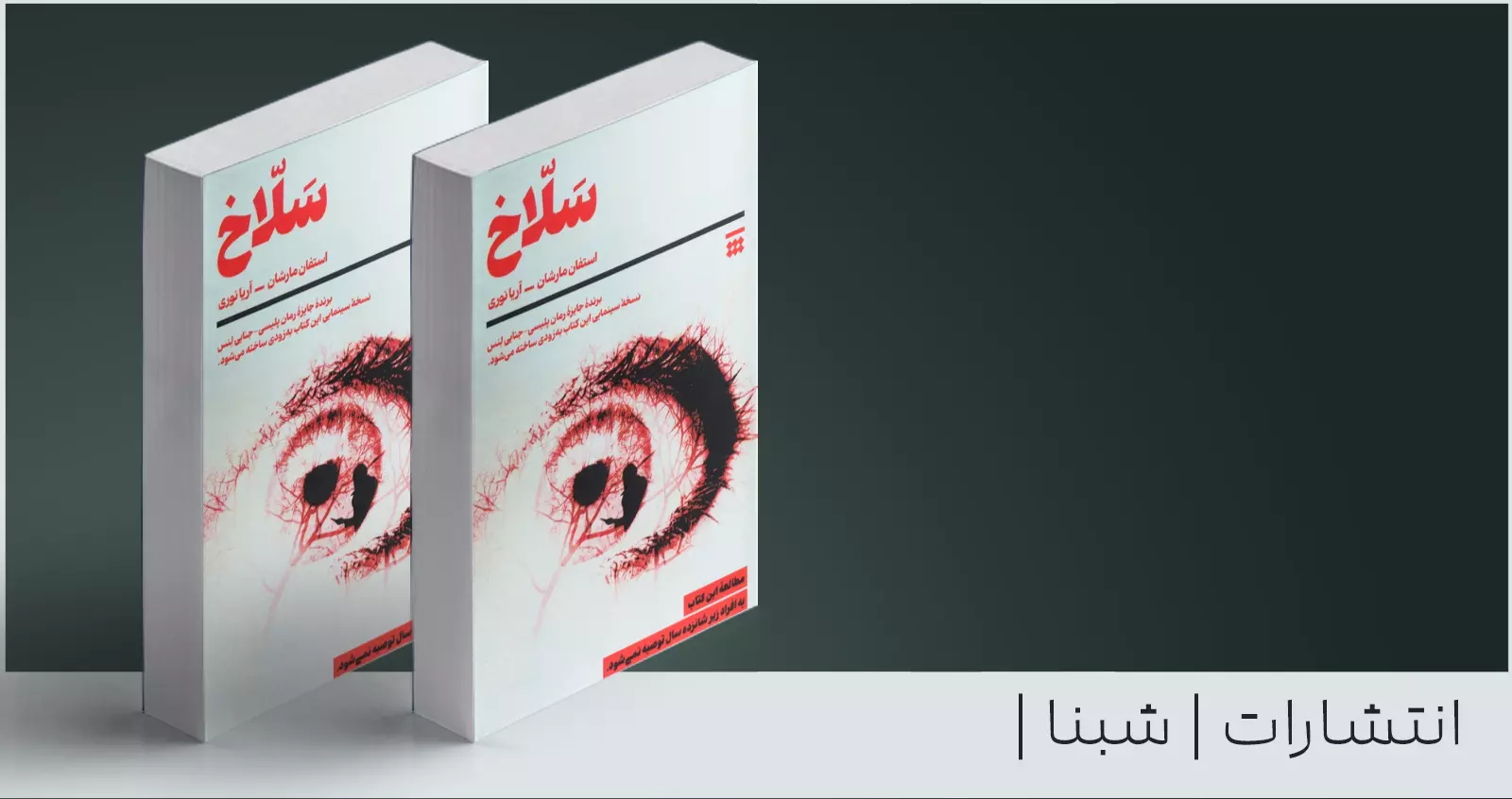 سلاخ/ برنده‌ی جایزه‌ی رمان پلیسی ـ جنایی لِنس در زبان فارسی