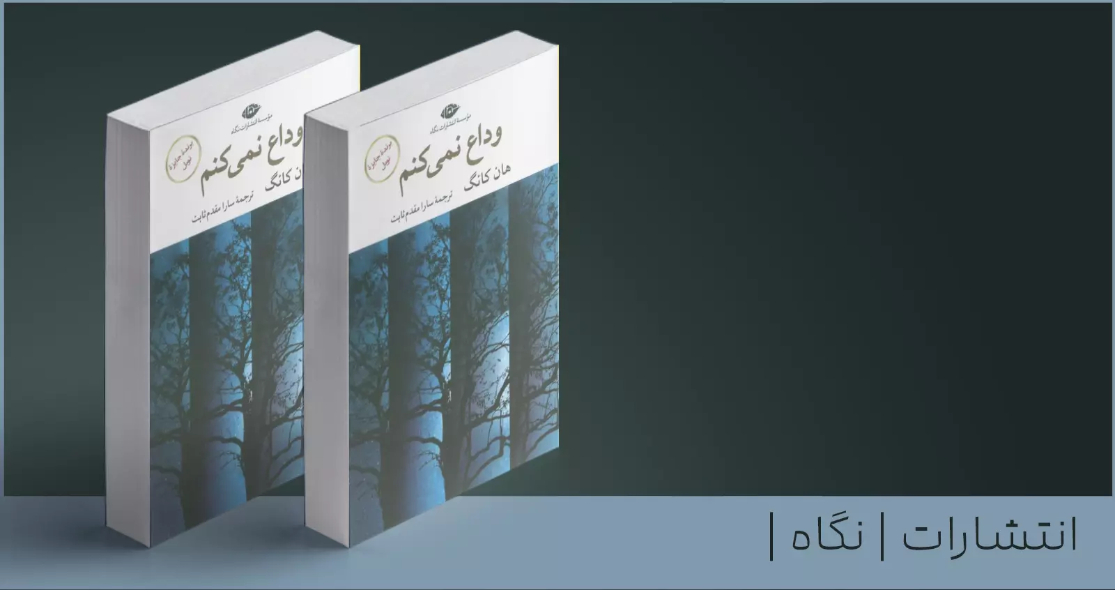 وداع نمی‌کنم/ در میان خاطراتِ مدفون