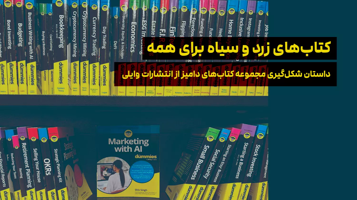 کتاب‌های زرد و سیاه برای همه؛ داستان شکل‌گیری مجموعه کتاب‌های دامیز از انتشارات وایلی
