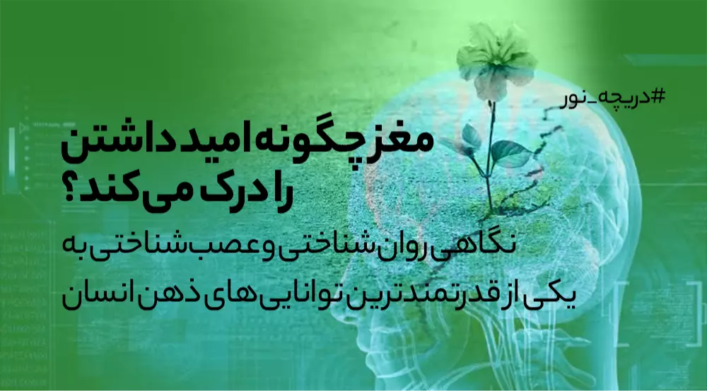دریچه نور: مغز چگونه امید داشتن را درک می‌کند؟ نگاهی روان‌شناختی و عصب‌شناختی به یکی از قدرتمندترین توانایی‌های ذهن انسان