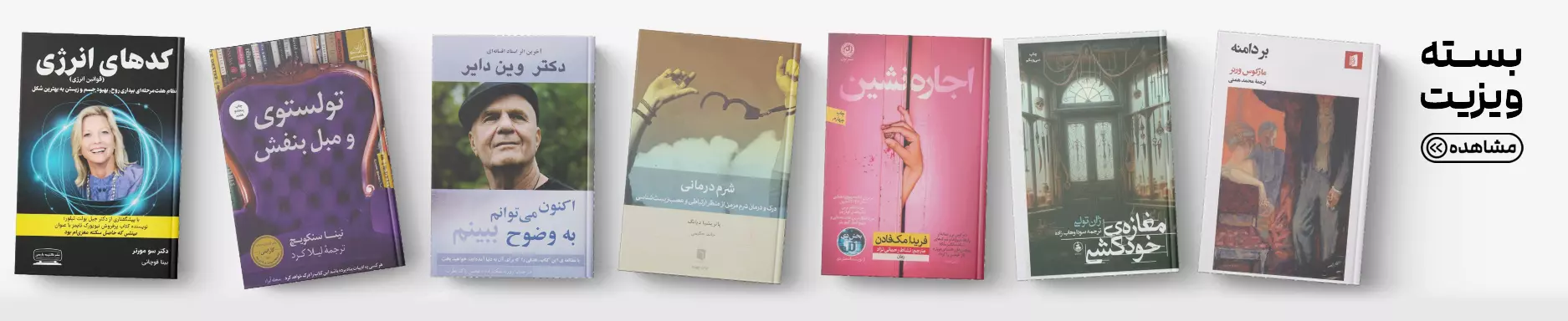 ویزیت