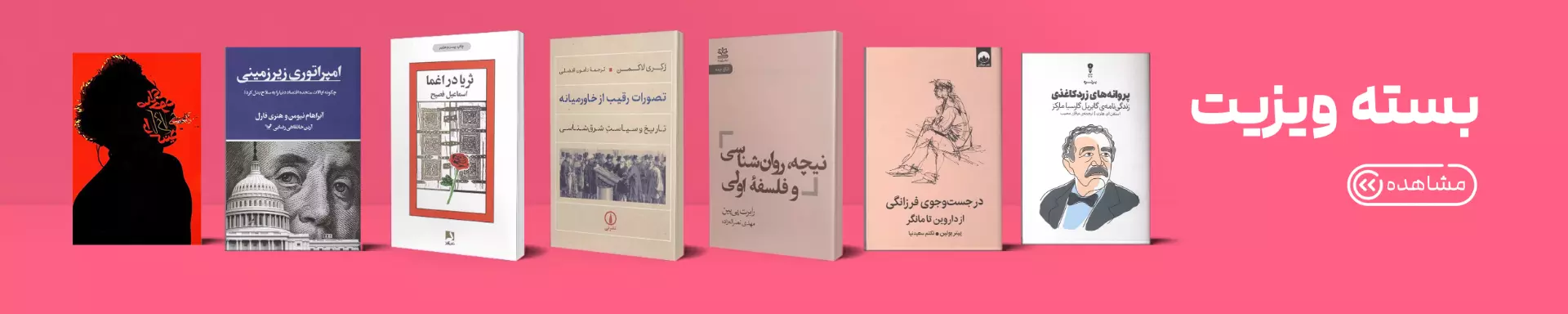 ویزیت