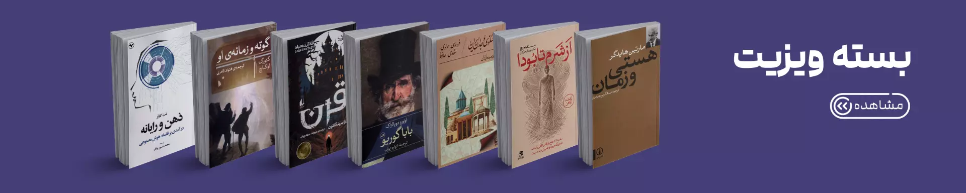 ویزیت
