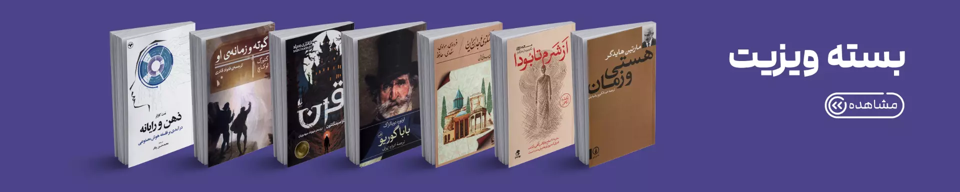 ویزیت