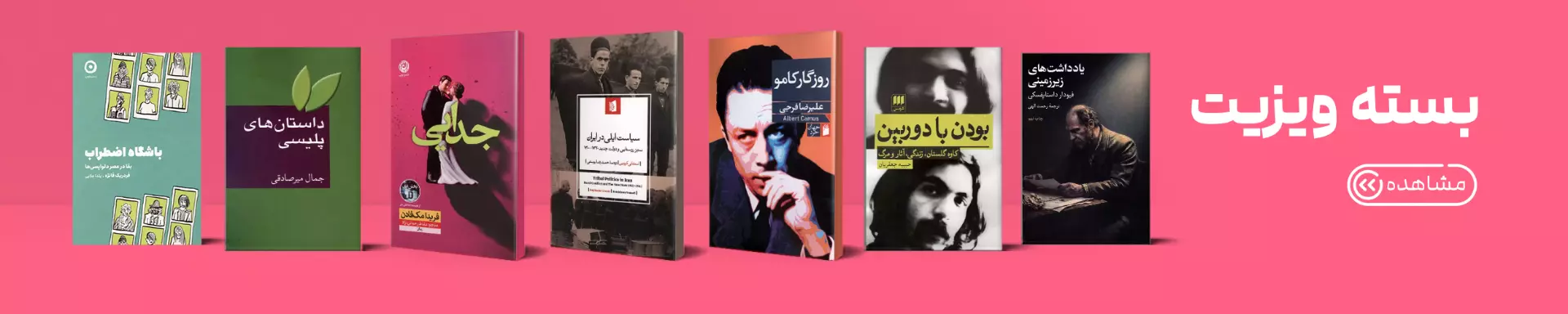 ویزیت