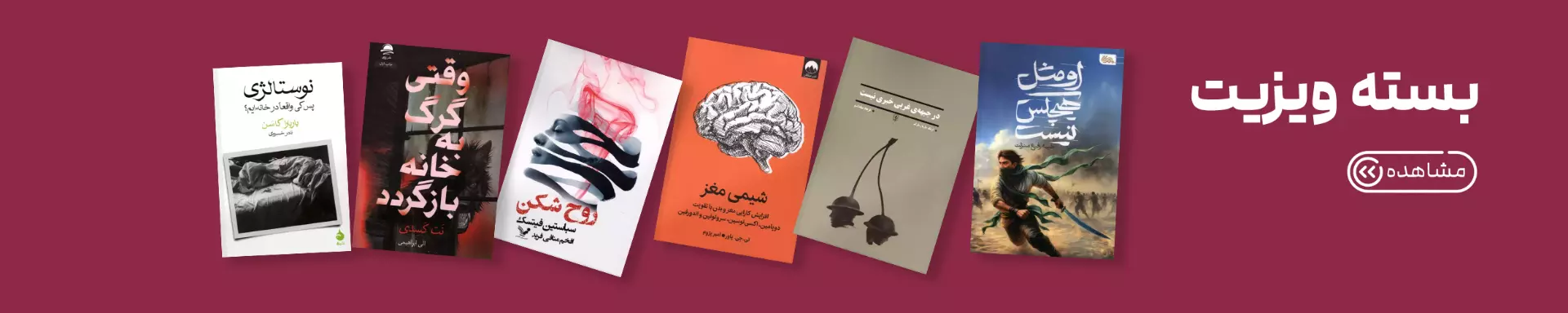 ویزیت