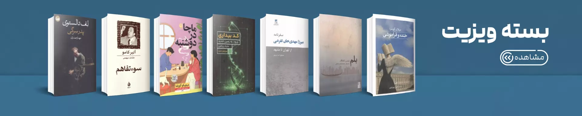 ویزیت