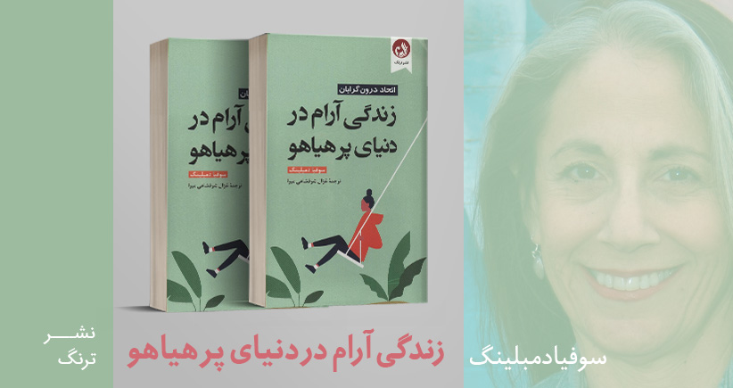 معرفی کتاب: زندگی آرام در دنیای پرهیاهو (اتحاد درون‌گرایان)