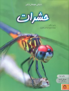 دنیای هیجان انگیز حشرات (دانش نامه ی نوجوان 1)،(گلاسه)