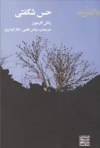 حس شگفتی
