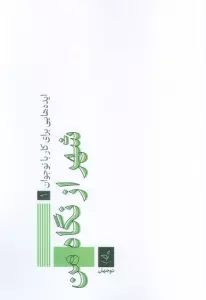 ایده هایی برای کار با نوجوان 1 (شهر از نگاه من)