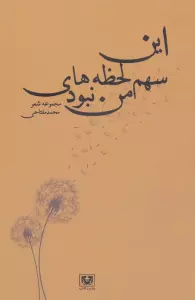 این سهم لحظه های من نبود (مجموعه شعر)