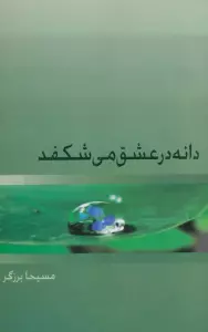 دانه در عشق می شکفد