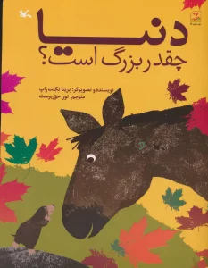 دنیا چقدر بزرگ است؟