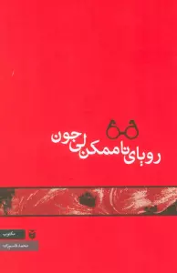 رویای ناممکن لی جون