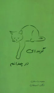 گربه ای در چمدانم (مجموعه داستان)