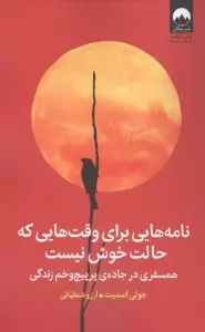 نامه هایی برای وقت هایی که حالت خوش نیست (همسفری در جاده ی پرپیچ و خم زندگی)