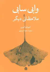 وابی سابی (ملاحظاتی دیگر)