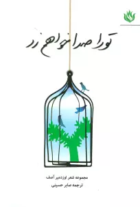 تو را صدا خواهم زد