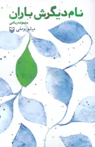 نام دیگرش باران (مجموعه رباعی)