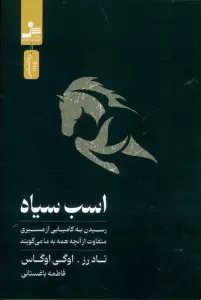 اسب سیاه (رسیدن به کامیابی از مسیری متفاوت از آنچه همه به ما می گویند)