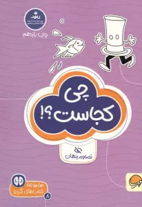 چی کجاست؟!:تصاویر پنهان (کتاب های گردو 8)