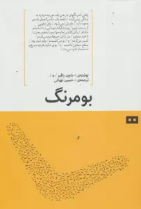 بومرنگ