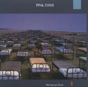 لغزش آنی در عقل (Pink Floyd،A Momentary Lapse of Reason)،(سی دی صوتی)،(باقاب)