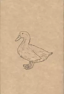 دفتر یادداشت خط دار (کد F108)