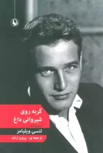 گربه روی شیروانی داغ (نمایشنامه)