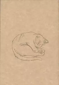 دفتر یادداشت خط دار (کد F101)