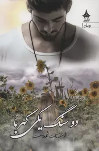 دو سنگ یکی کهربا (2جلدی)