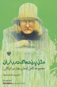 مثل پرنده ای در باران:مجموعه کامل اشعار ریچارد براتیگان (شعر جهان63)