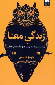زندگی معنا (بررسی عمیق ترین پرسش ها و انگیزه ها در زندگی)