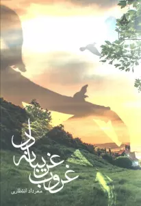 غروب غریبانه دل