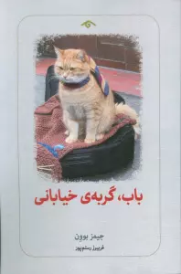 باب،گربه ی خیابانی