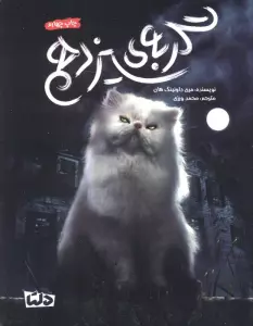 گربه ی سیزدهم