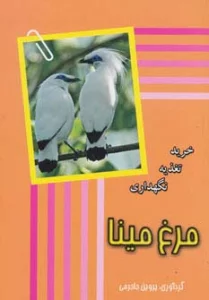 مرغ مینا (خرید،تغذیه،نگهداری)