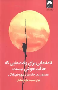 نامه هایی برای وقت هایی که حالت خوش نیست (همسفری در جاده ی پرپیچ و خم زندگی)
