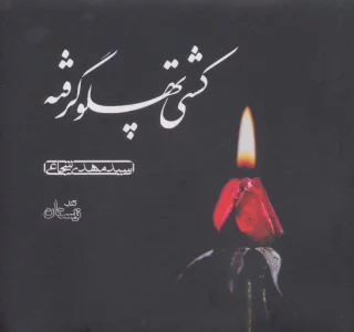 کتاب سخنگو کشتی پهلو گرفته (صوتی)،(باقاب)