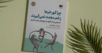 چرا گورخرها زخم معده نمی‌گیرند/ استرس و هرآنچه در موردش باید بدانیم