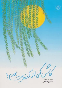 کاش کمی از آرزویت بودم! (مجموعه شعر)