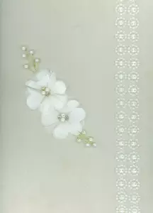 آلبوم بله برون (سفید،کد 00361)،(مخمل،لب طلایی،باجعبه)