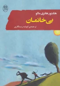 بی خانمان (ادبیات جهان 8)