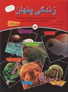 مجموعه زندگی پنهان (گلاسه)