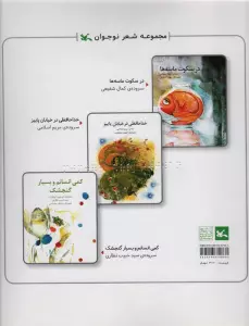 مجموعه شعر نوجوان (در سکوت ماسه و...)،(مناسب نابینایان)،(سیمی)