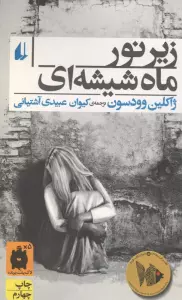 زیر نور ماه شیشه ای (رمان جوان 1)