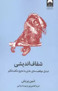 شفاف اندیشی (تبدیل موقعیت های عادی به نتایج شگفت انگیز)