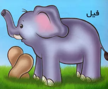 فیل (گلاسه)