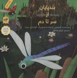 بندپایان از سر تا دم (گلاسه)